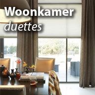 Duettes voor woonkamer