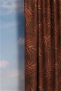 Areca+copper