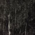 Deurgordijn Kattenstaart zwart 120x240cm